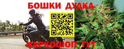 скорость Бийск