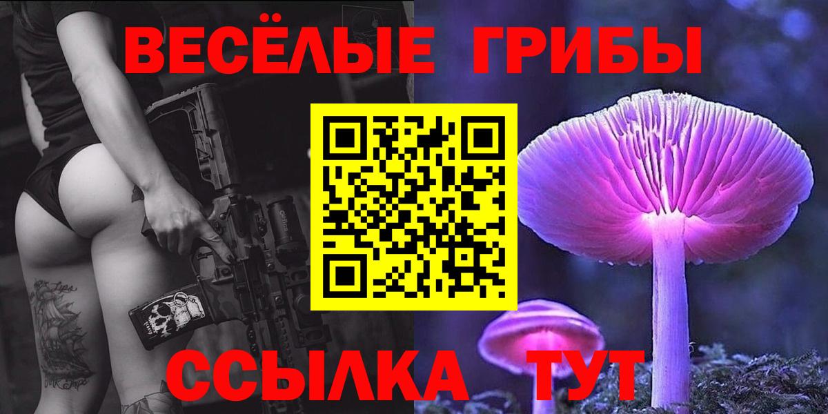 Галлюциногенные грибы Psilocybine cubensis Знаменск