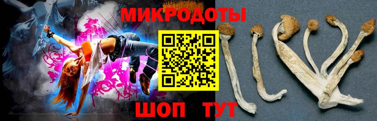 Псилоцибиновые грибы GOLDEN TEACHER  Вход с VPN  Псилоцибиновые грибы Psilocybe  Знаменск 